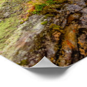 ウォーターフォール&リバーカスケード ポスター (角)