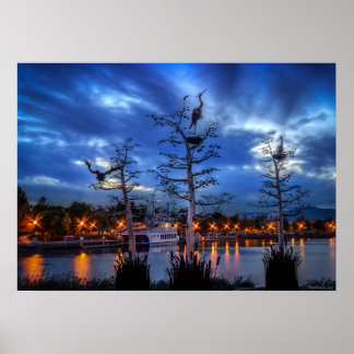 ウォーターフロントヘロン ポスター