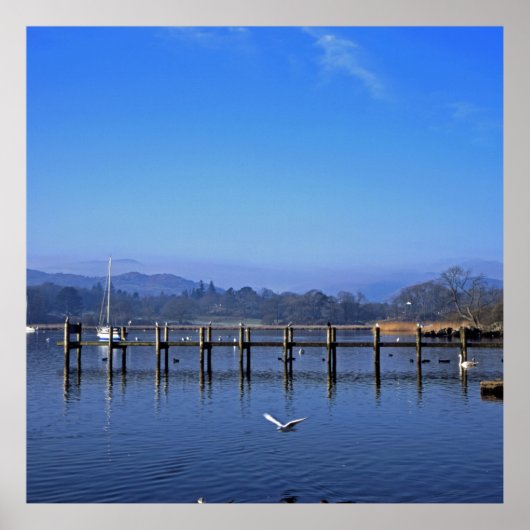 ウォーターヘッドアンブレサイドイングラッシュポストクッション ポスター (正面)