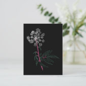 ウォーターヘムロック ポストカード (スタンド正面)