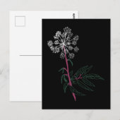 ウォーターヘムロック ポストカード (正面/裏面)