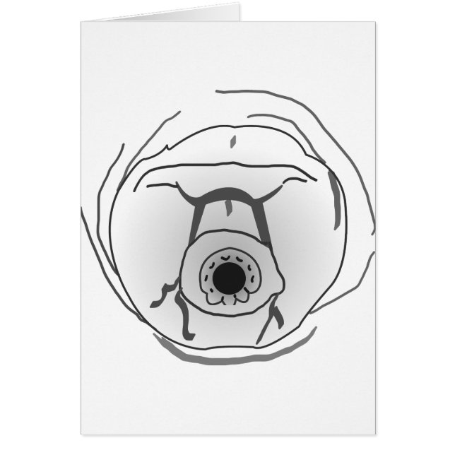 ウォーターベアータルディグレード顔 (正面)