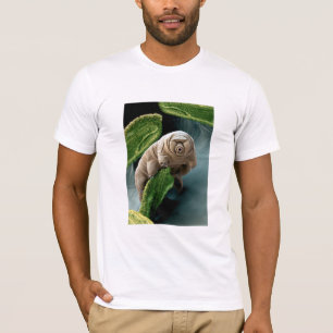 ウォーターベア Tシャツ