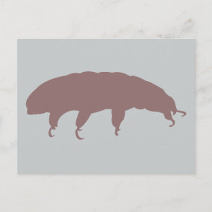 ウォーターベアTardigradeシルエット可愛い生き物 ポストカード