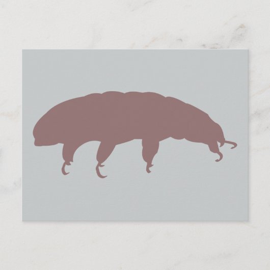 ウォーターベアTardigradeシルエット可愛い生き物 ポストカード (正面)