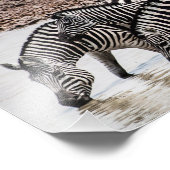 ウォーターホールでのシマウマ フォトプリント            (角)