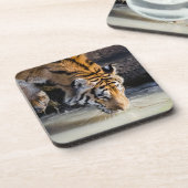 ウォーターホールで美しい虎 コースター (左側)