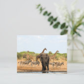 ウォーターホールで ポストカード (スタンド正面)