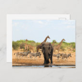 ウォーターホールで ポストカード (正面/裏面)