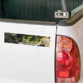 ウォーターホールアットゴールディーブッシュウォーク バンパーステッカー (トラック上)