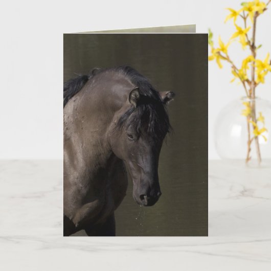 ウォーターホールワイルドホースグリーティングカードでのスタリオン カード (黄色い花)