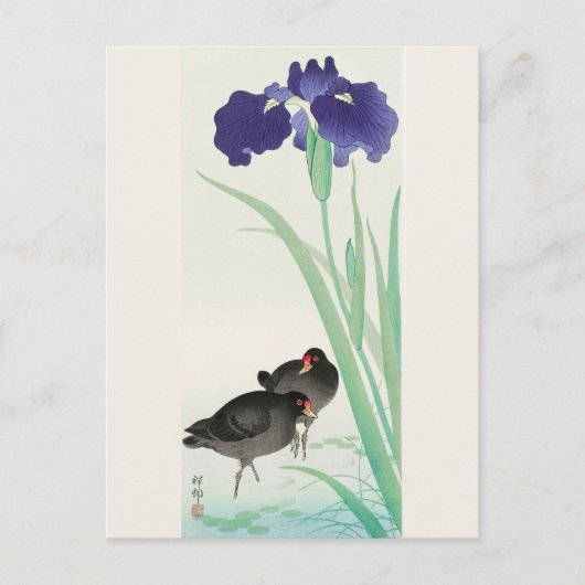 ウォーターホー絵画ツ&アイリスby大原小村 ポストカード (正面)