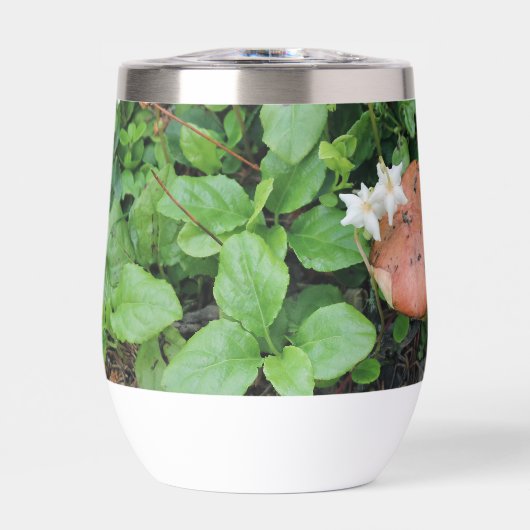 ウォーターボトル (正面)