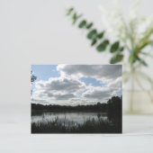 ウォーターミードカントリーパークポストカード ポストカード (スタンド正面)