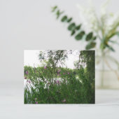 ウォーターミードカントリーパークポストカード ポストカード (スタンド正面)