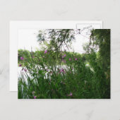 ウォーターミードカントリーパークポストカード ポストカード (正面/裏面)