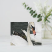 ウォーターミードカントリーパークポストカード ポストカード (スタンド正面)