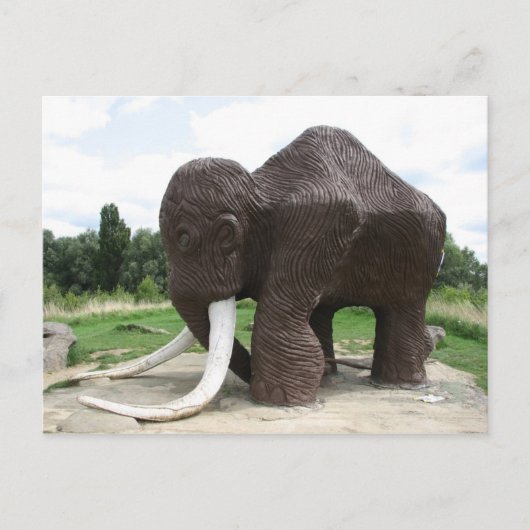 ウォーターミードカントリーパークポストカード ポストカード (正面)