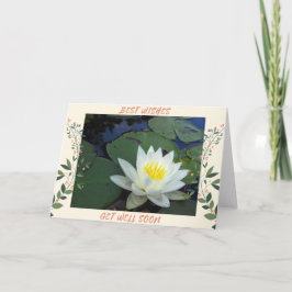 ウォーターリリーが快適に カード