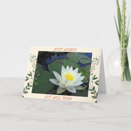 ウォーターリリーが快適に カード (正面)