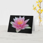 ウォーターリリーの白いグリーティングカード カード (黄色い花)