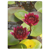 ウォーターリリークリップボード クリップボード (裏面)