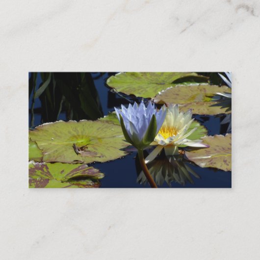 ウォーターリリーダンス 名刺 (正面)