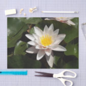 ウォーターリリーティッシュペーパー 薄葉紙 (クラフト)