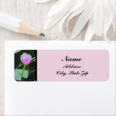 ウォーターリリーフォトビューティフルピンクパープル開花 ラベル (インサイチュ)