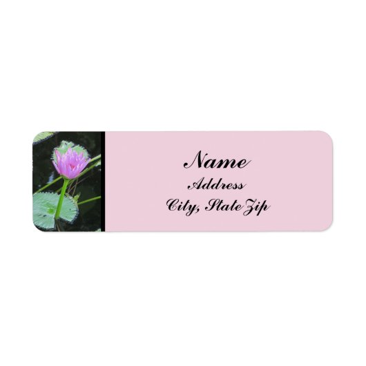 ウォーターリリーフォトビューティフルピンクパープル開花 ラベル (正面)