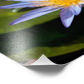 ウォーターリリーフォトプリント フォトプリント            (角)