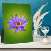 ウォーターリリーフラワーポンド水中競技パープルウォーター開花 フォトプラーク (側面)