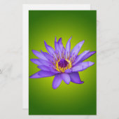 ウォーターリリーフラワーポンド水中競技パープルウォーター開花 便箋 (正面/裏面)