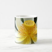 ウォーターリリーマグ コーヒーマグカップ (中央)