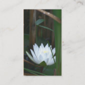ウォーターリリーロータスフラワービジネスカード 名刺 (裏面)