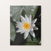 ウォーターリリーロータスフラワービューティフル写真フォト ジグソーパズル (縦)