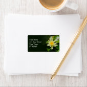 ウォーターリリー住所 シール (インサイチュ)