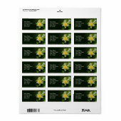 ウォーターリリー住所 シール (フルシート)