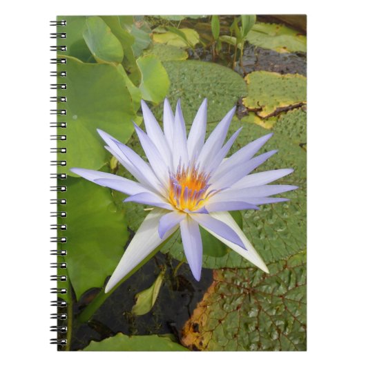 ウォーターリリー写真ノートブック ノートブック (正面)