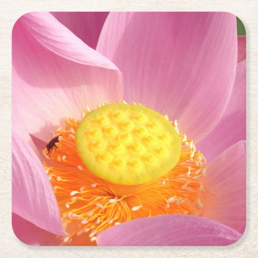 ウォーターリリー紙コースター スクエアペーパーコースター (正面)