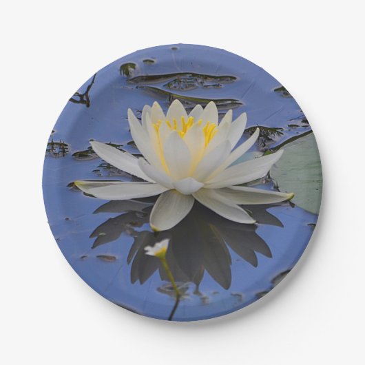 ウォーターリリー紙プレート ペーパープレート (正面)