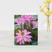 ウォーターリリー美しい カード (黄色い花)