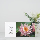 ウォーターリリー美しい セーブザデート (スタンド正面)