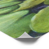 ウォーターリリー(カーギル), 1937 ポスター (角)