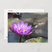ウォーターリリー ポストカード (正面/裏面)