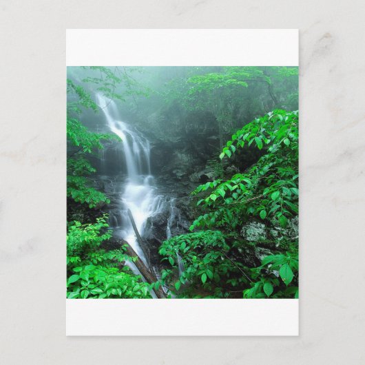 ウォーターロワードイルズリバー秋シェナンドア ポストカード (正面)