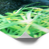 ウォーター秋アットシャウズガーデン ポスター (角)