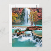 ウォーター秋アート ポストカード (正面/裏面)
