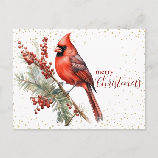 ウォーター素朴カラーウィンター(鳥)ショウジョウコウカンチョウホリーブランチ シーズンポストカード (正面)
