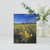 ウォーター2.アローリーフバルソムルトワイルドフラワー ポストカード (スタンド正面)